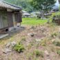 居宅敷地内の庭